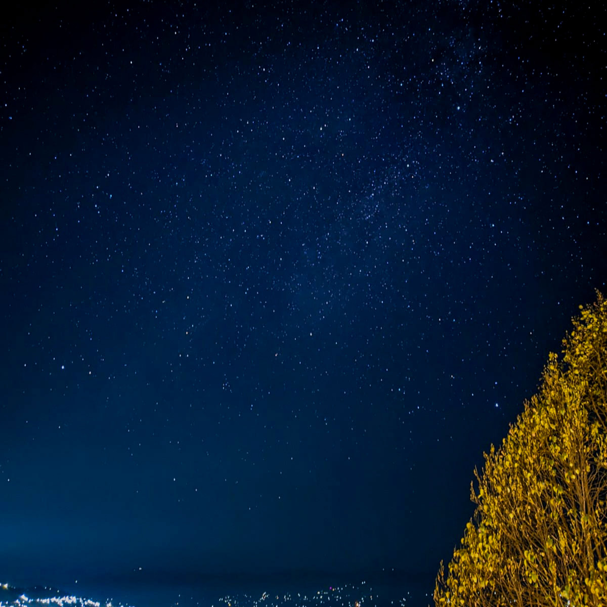 The night sky as seen from The Oak Retreat