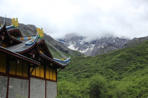 Which Hotel Has the Best Kanchenjunga View in Lamahatta?